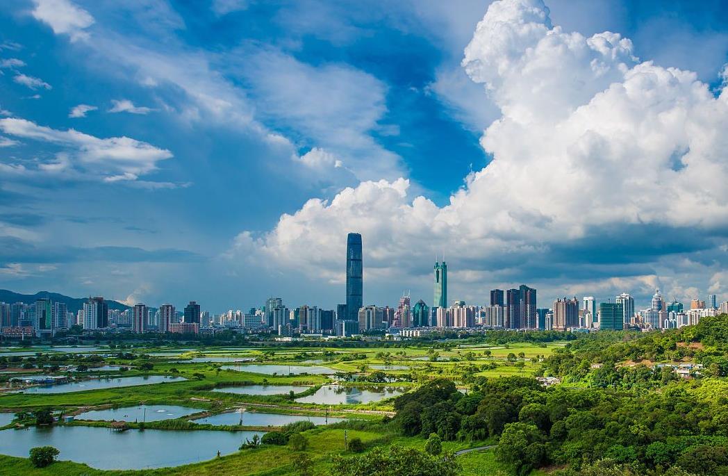 政策與信息化平臺支持 深圳市現(xiàn)代物流業(yè)實力躍居龍頭
